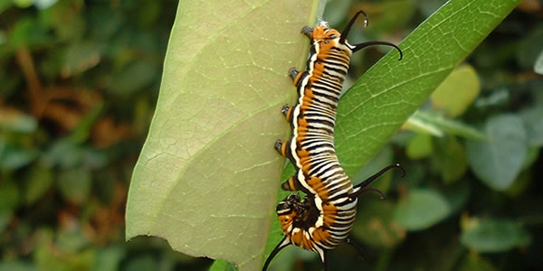 电话测压在线平台